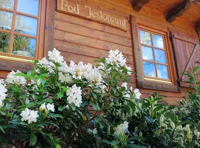 Dom Pod Jesionami Villa Ochotnica Dolna photo