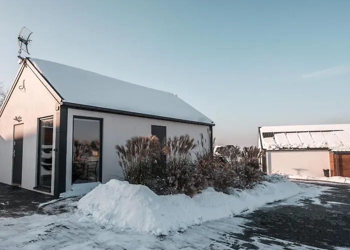 Pokoj Dziupla Tarnawa Dolna  photo