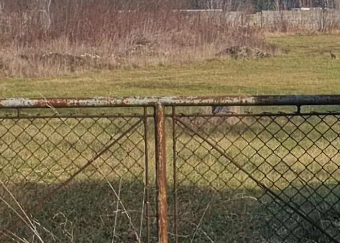 Ziemia 1M2 foto