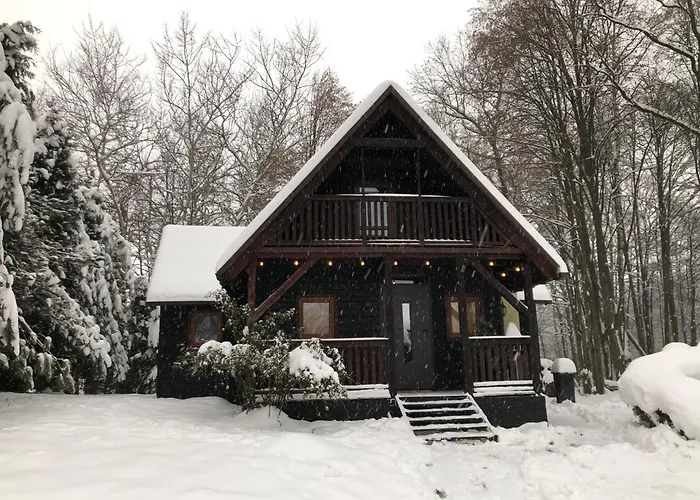 Trzciana Domek Pod Lasem תמונה