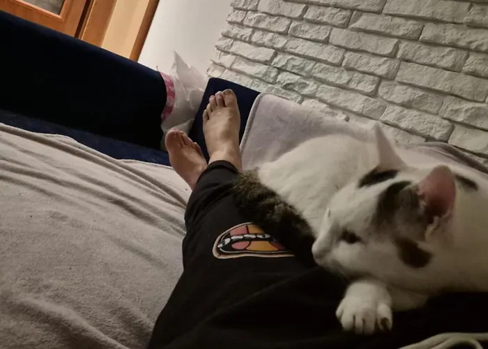 Pensjonat Ostrowsko fotoğrafı