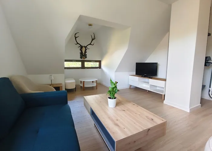 Willa Rogaś II Rytro zdjęcie