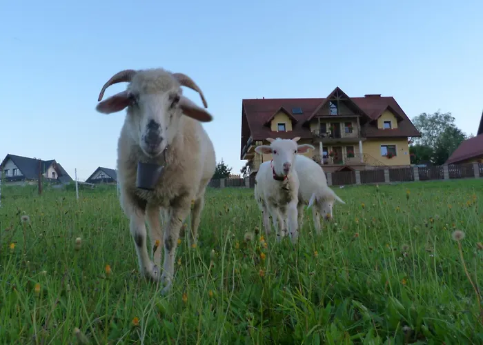 Agroturystyka Pod Zamczyskiem Sromowce Wyzne zdjęcie