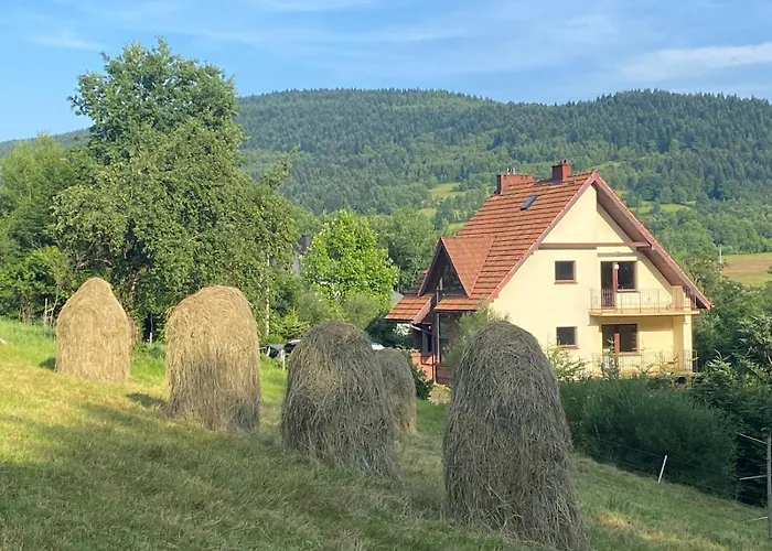 Bienkowka W Gorach Nad Strumieniem תמונה