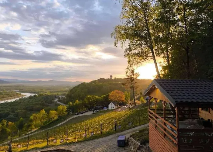 Domki Na Winnicy - Winnica Talaska Melsztyn photo
